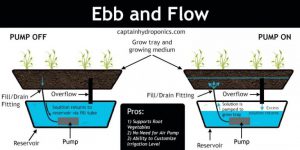 کشت هیدروپونیک روش جذر و مدی (Ebb and Flow)